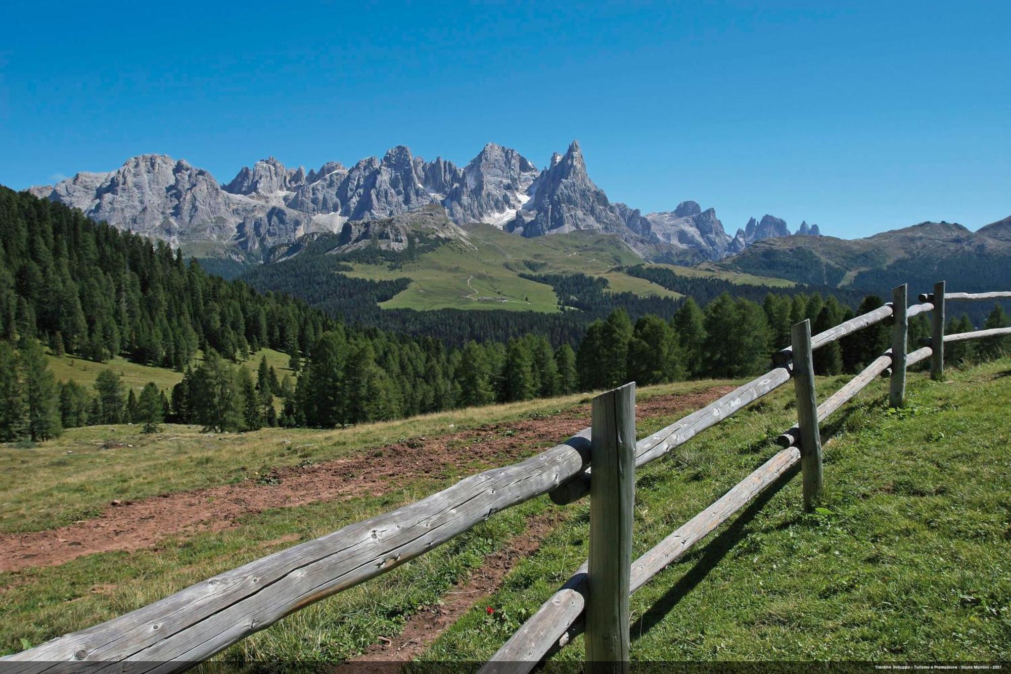 Casa 4 Pioppi - Agenzia Dolomiti Affitti Apartman Cavalese Kültér fotó