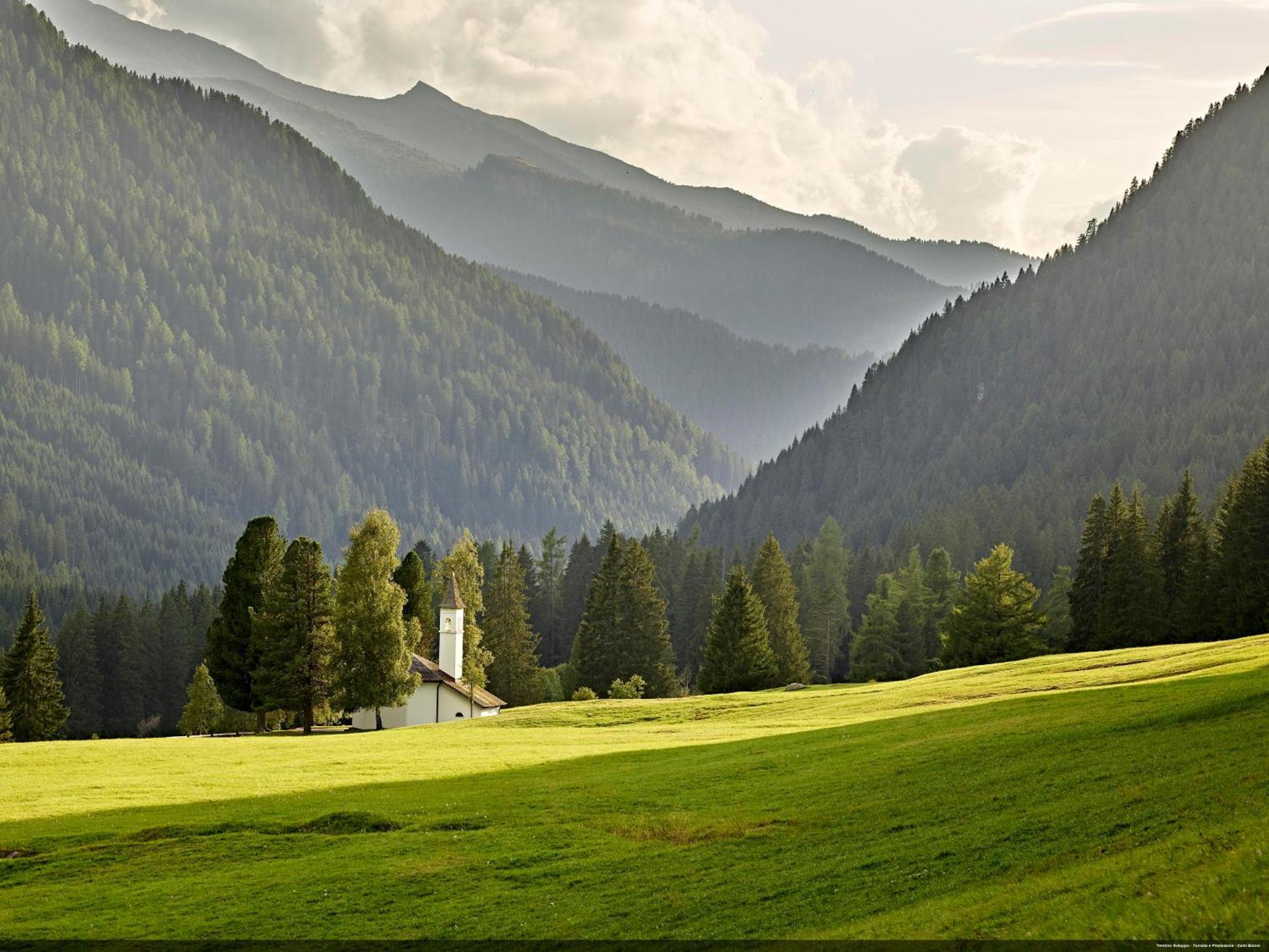 Casa 4 Pioppi - Agenzia Dolomiti Affitti Apartman Cavalese Kültér fotó